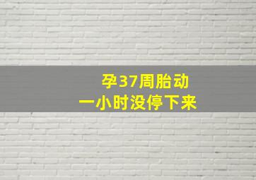 孕37周胎动一小时没停下来