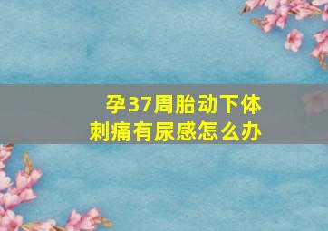 孕37周胎动下体刺痛有尿感怎么办