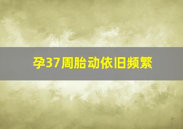 孕37周胎动依旧频繁