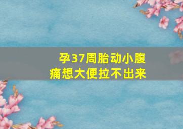 孕37周胎动小腹痛想大便拉不出来