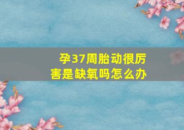 孕37周胎动很厉害是缺氧吗怎么办