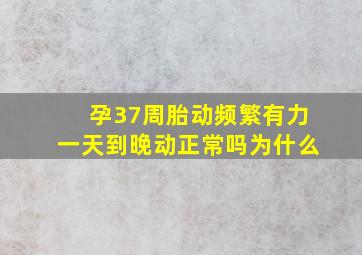 孕37周胎动频繁有力一天到晚动正常吗为什么