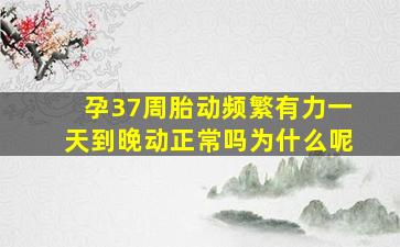 孕37周胎动频繁有力一天到晚动正常吗为什么呢