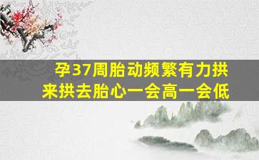 孕37周胎动频繁有力拱来拱去胎心一会高一会低