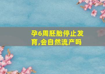 孕6周胚胎停止发育,会自然流产吗