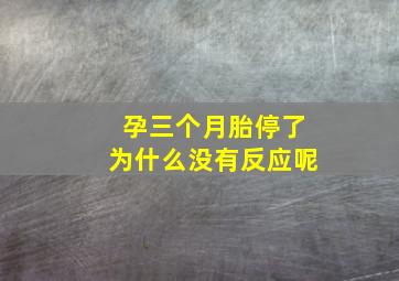 孕三个月胎停了为什么没有反应呢