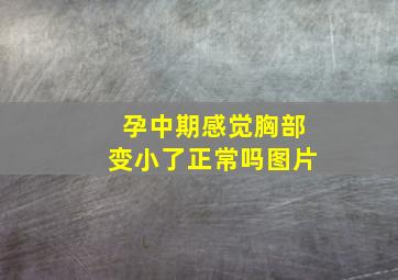 孕中期感觉胸部变小了正常吗图片