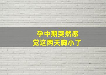 孕中期突然感觉这两天胸小了