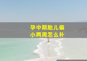 孕中期胎儿偏小两周怎么补