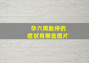 孕六周胎停的症状有哪些图片