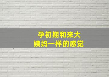 孕初期和来大姨妈一样的感觉