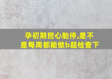 孕初期担心胎停,是不是每周都能做b超检查下