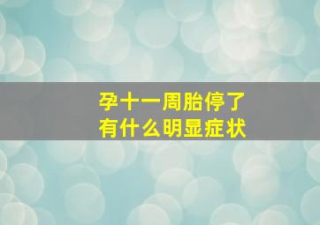 孕十一周胎停了有什么明显症状