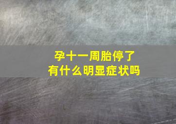 孕十一周胎停了有什么明显症状吗