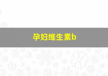 孕妇维生素b