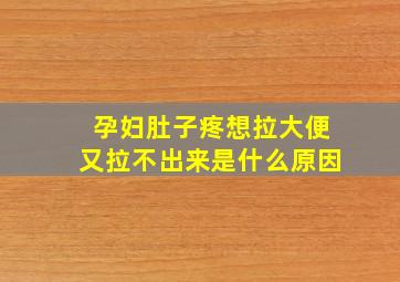 孕妇肚子疼想拉大便又拉不出来是什么原因