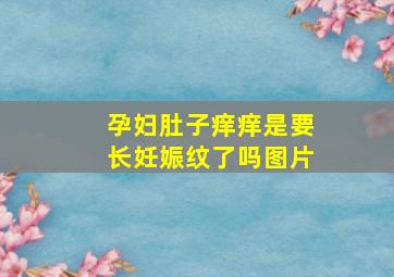 孕妇肚子痒痒是要长妊娠纹了吗图片