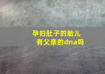 孕妇肚子的胎儿有父亲的dna吗