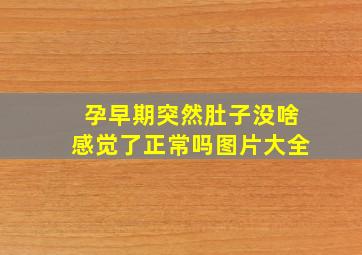 孕早期突然肚子没啥感觉了正常吗图片大全