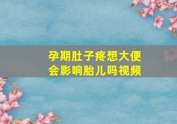 孕期肚子疼想大便会影响胎儿吗视频