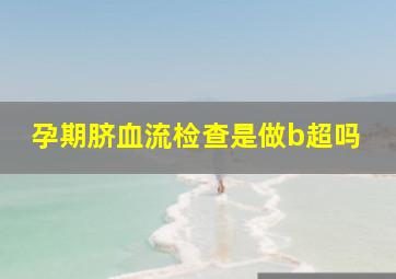 孕期脐血流检查是做b超吗