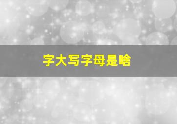 字大写字母是啥