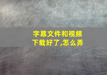 字幕文件和视频下载好了,怎么弄