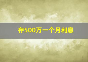 存500万一个月利息