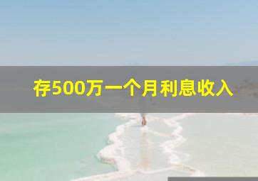 存500万一个月利息收入