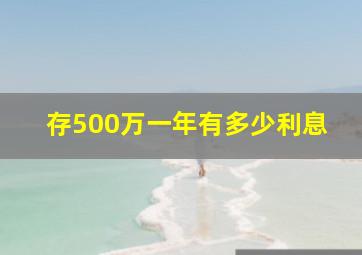 存500万一年有多少利息