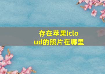 存在苹果icloud的照片在哪里