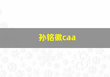 孙铭徽caa