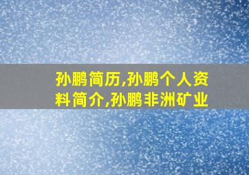 孙鹏简历,孙鹏个人资料简介,孙鹏非洲矿业