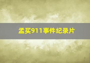 孟买911事件纪录片