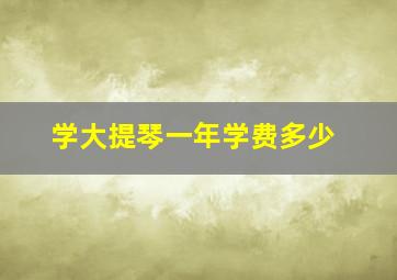 学大提琴一年学费多少