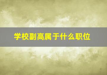 学校副高属于什么职位