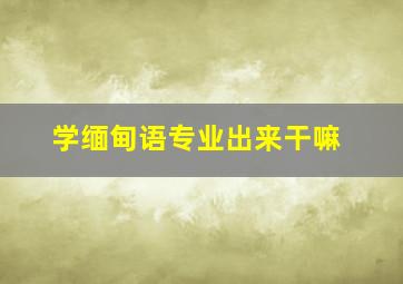 学缅甸语专业出来干嘛