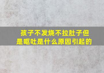 孩子不发烧不拉肚子但是呕吐是什么原因引起的