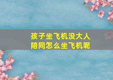 孩子坐飞机没大人陪同怎么坐飞机呢