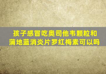 孩子感冒吃奥司他韦颗粒和蒲地蓝消炎片罗红梅素可以吗