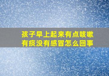 孩子早上起来有点咳嗽有痰没有感冒怎么回事