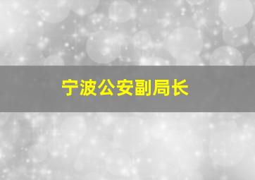 宁波公安副局长