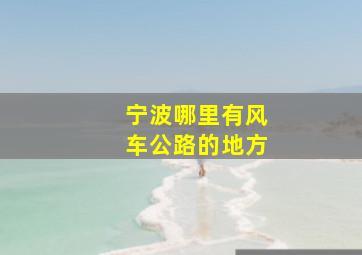 宁波哪里有风车公路的地方