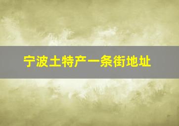 宁波土特产一条街地址