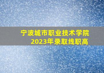 宁波城市职业技术学院2023年录取线职高