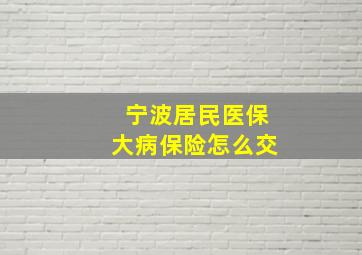 宁波居民医保大病保险怎么交