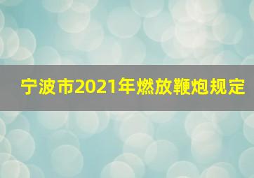 宁波市2021年燃放鞭炮规定