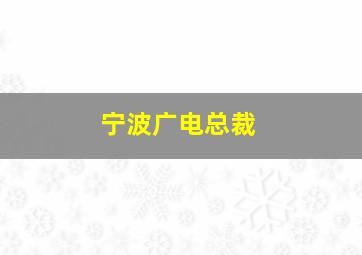 宁波广电总裁