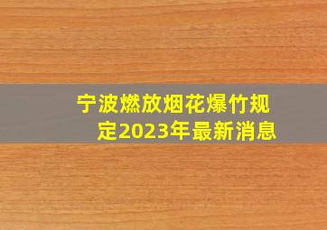 宁波燃放烟花爆竹规定2023年最新消息