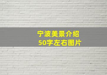 宁波美景介绍50字左右图片